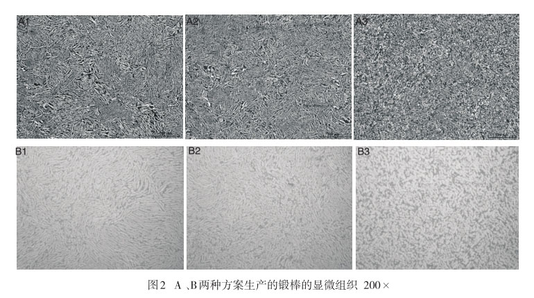 A 、B兩種方案生產(chǎn)的鍛棒的顯微組織